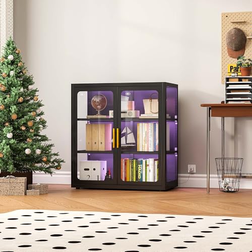 Glass Cabinet Display - Витрина со стеклянными дверцами и RGB-подсветкой